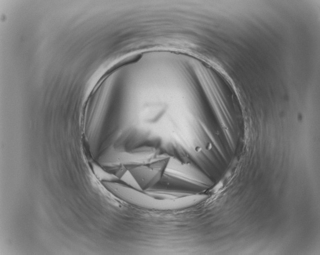 X0000053141532200508012230