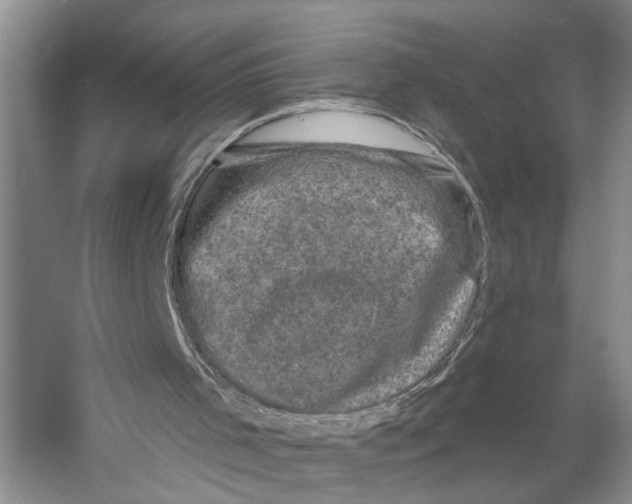 X0000053140001200508081356