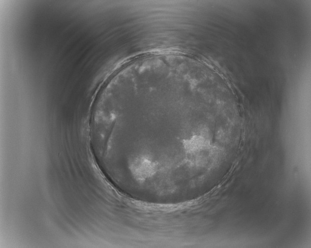 X0000053140002200508081356