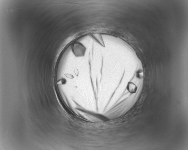 X0000053140003200508081356