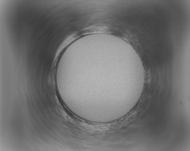 X0000053140004200508081356