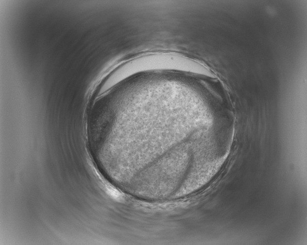 X0000053140005200508081356