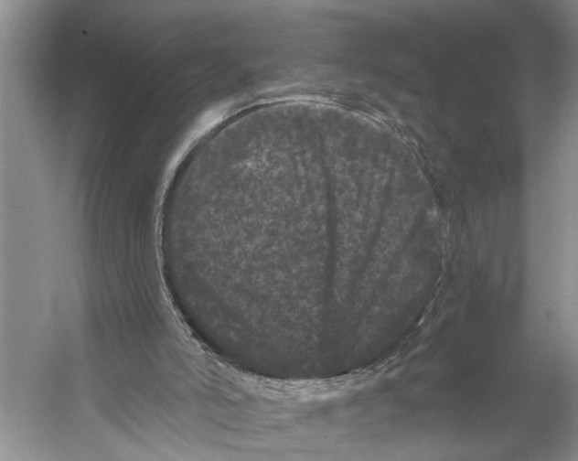 X0000053140006200508081356