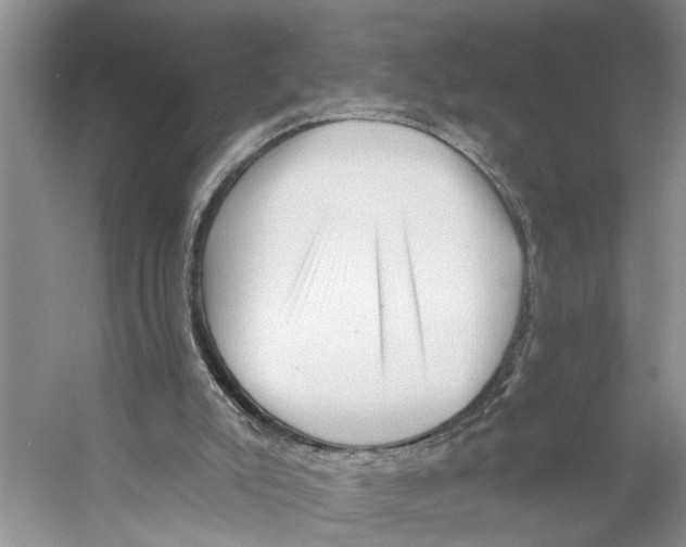 X0000053140007200508081356