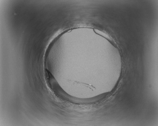 X0000053140008200508081356