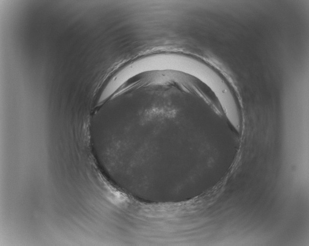 X0000053140009200508081356