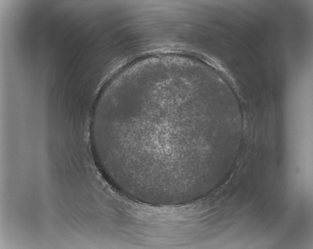 X0000053140010200508081356