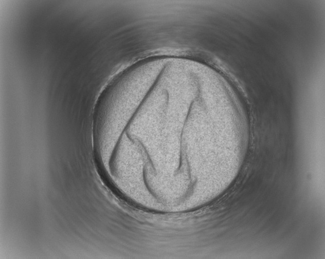 X0000053140011200508081356