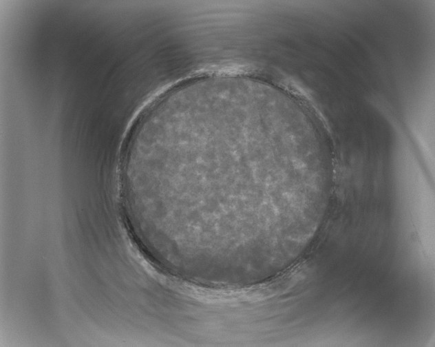 X0000053140012200508081356