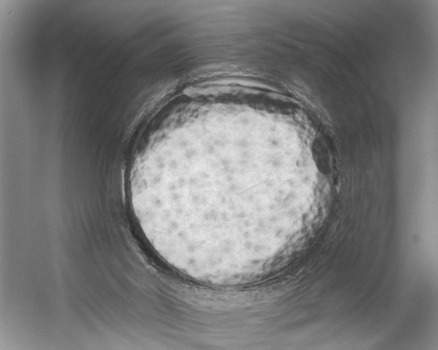 X0000053140014200508081356