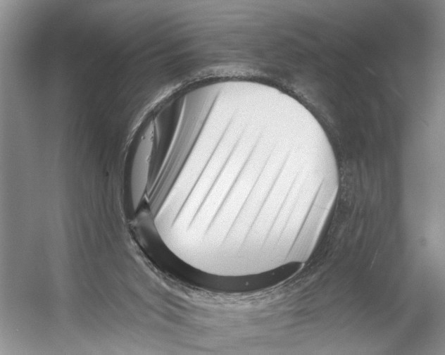 X0000053140015200508081356