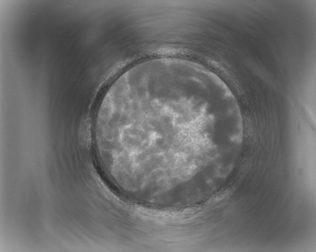 X0000053140016200508081356