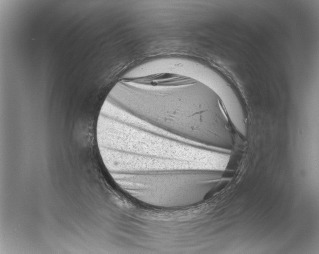 X0000053140017200508081356