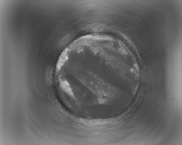 X0000053140018200508081356