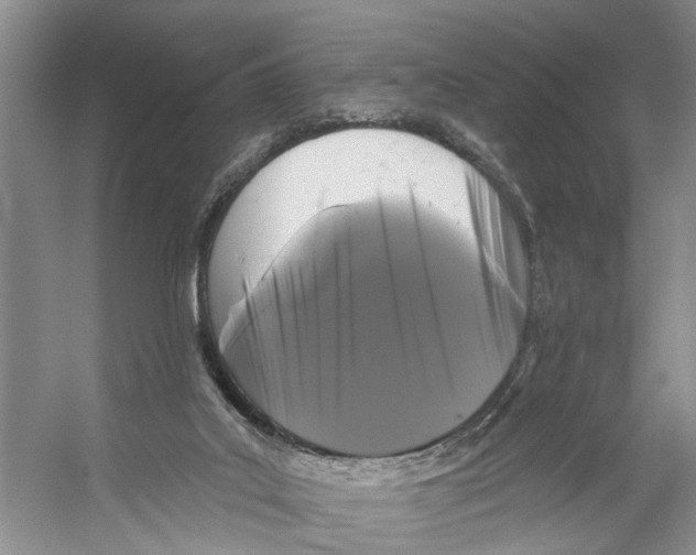 X0000053140019200508081356