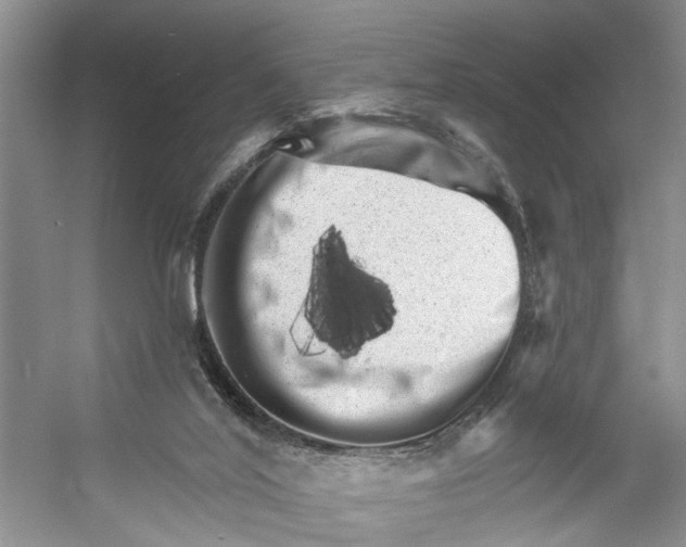 X0000053140020200508081356