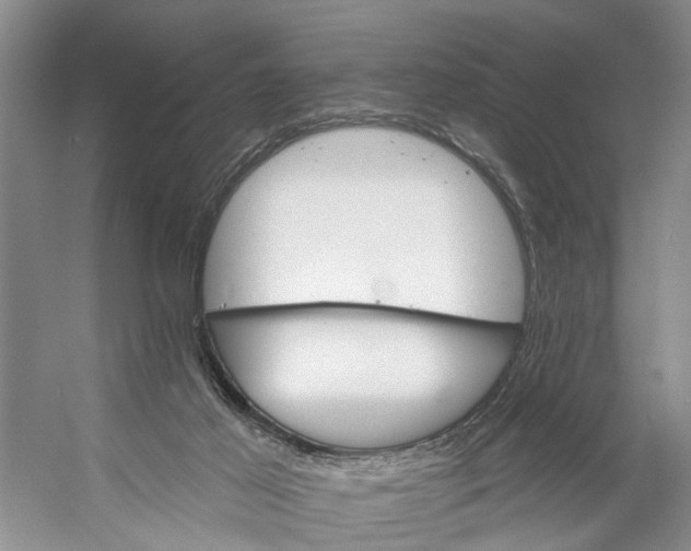 X0000053140021200508081356