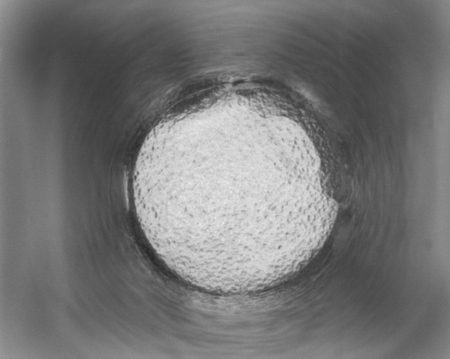 X0000053140022200508081356