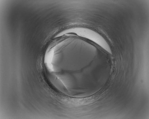 X0000053140023200508081356