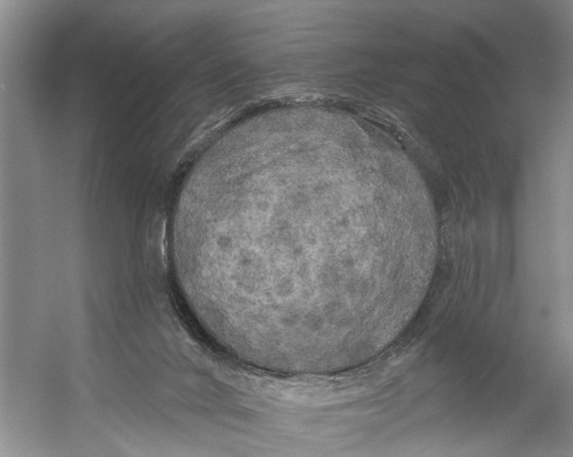 X0000053140024200508081356