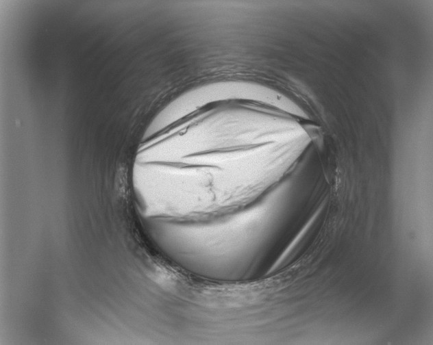 X0000053140025200508081356