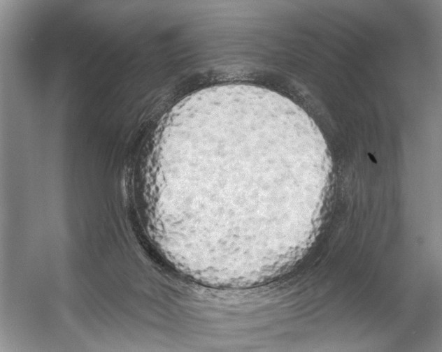 X0000053140026200508081356