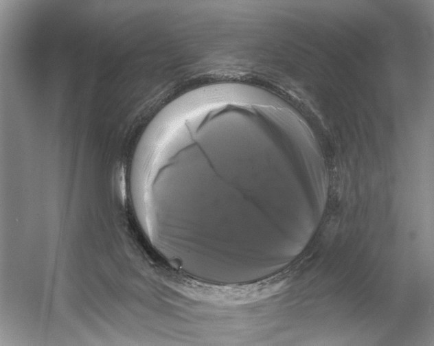 X0000053140027200508081356