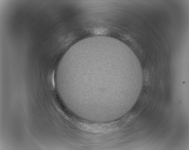 X0000053140028200508081356