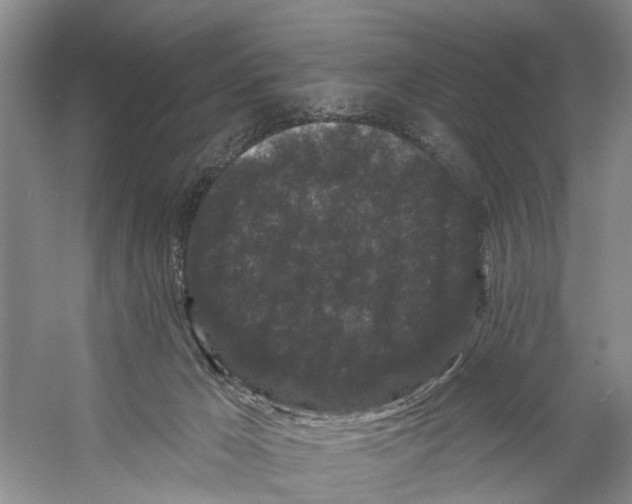 X0000053140029200508081356