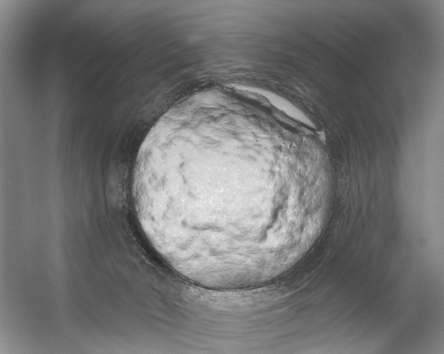 X0000053140030200508081356