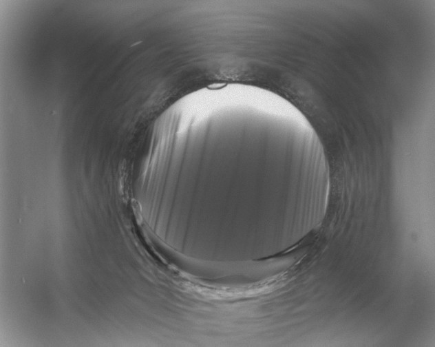 X0000053140031200508081356