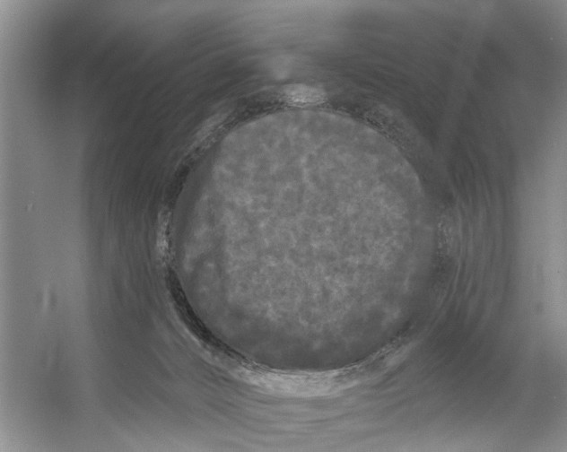 X0000053140032200508081356