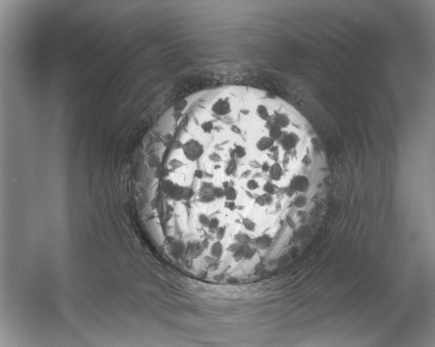 X0000053140034200508081356