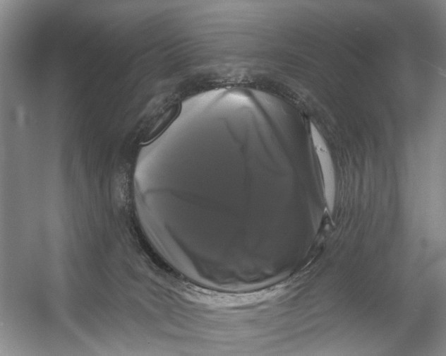 X0000053140035200508081356