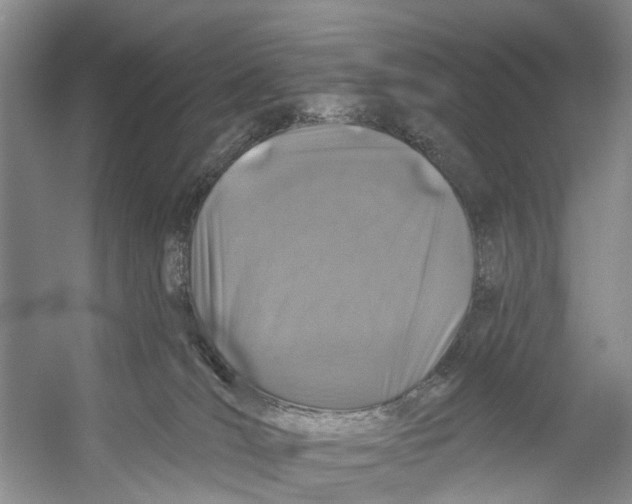 X0000053140036200508081356