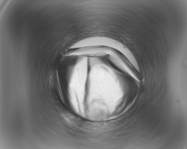 X0000053140037200508081356