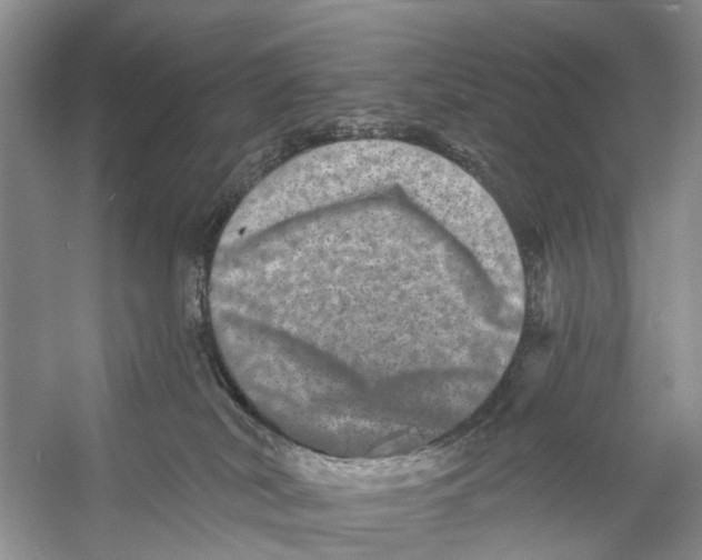 X0000053140038200508081356