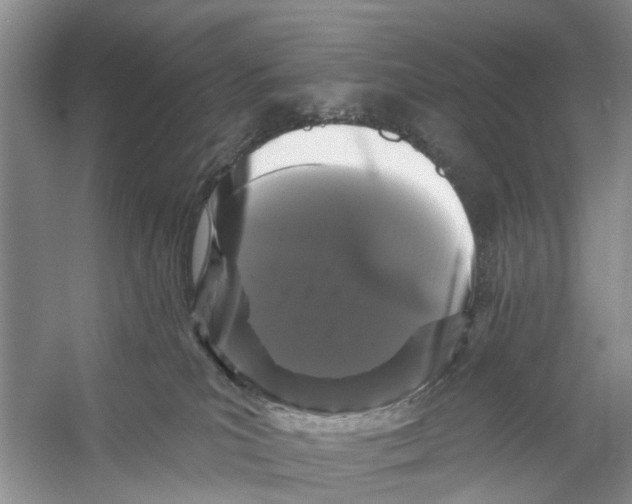 X0000053140039200508081356