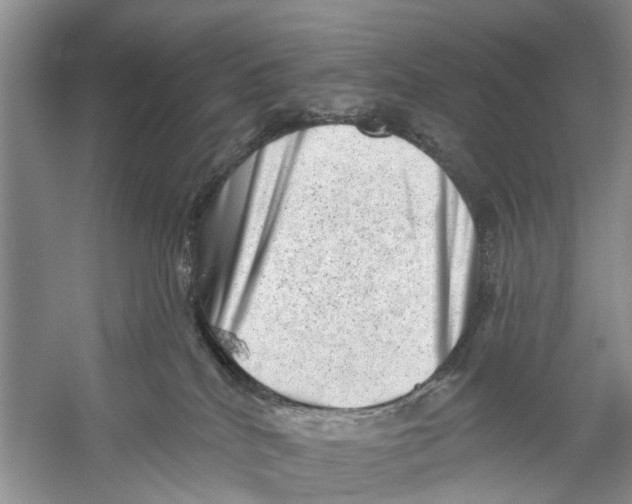 X0000053140040200508081356