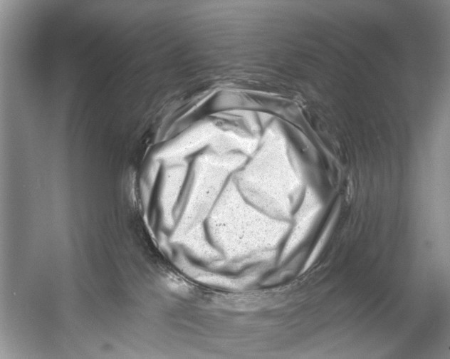 X0000053140041200508081356