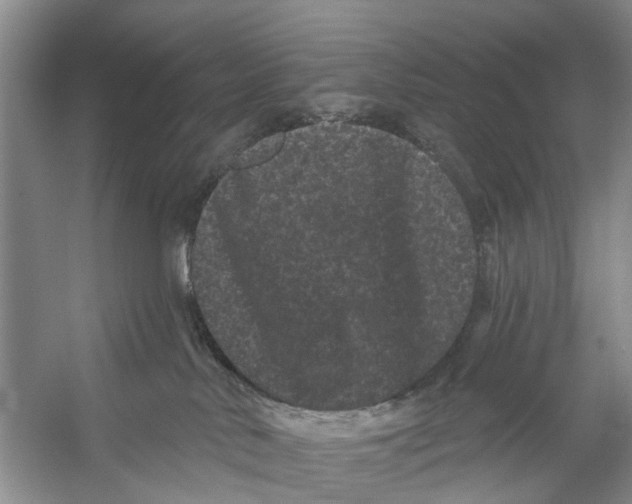 X0000053140042200508081356