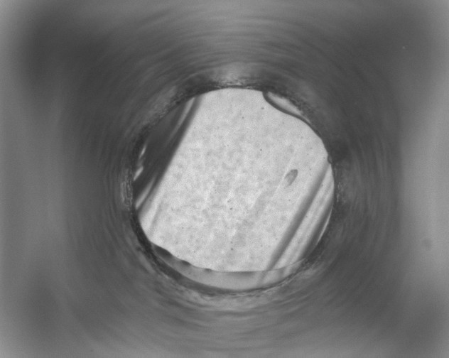 X0000053140044200508081356