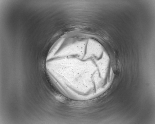 X0000053140045200508081356