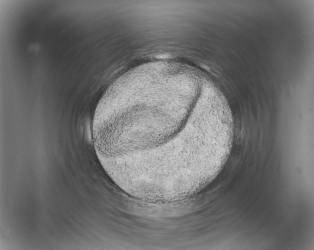 X0000053140046200508081356