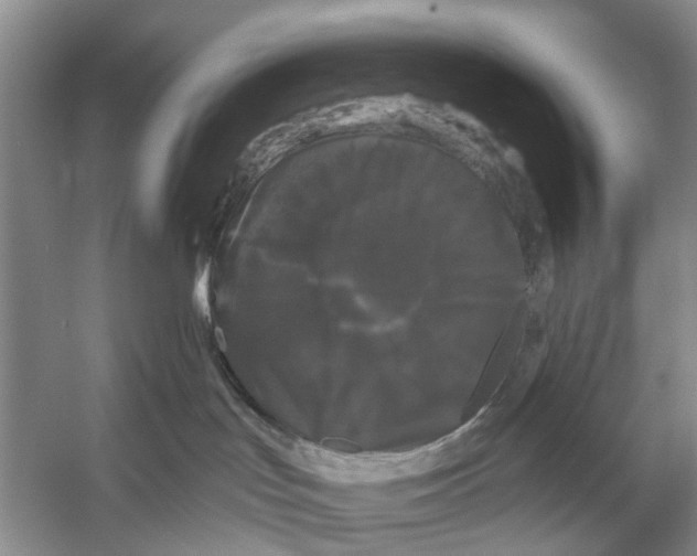 X0000053140047200508081356