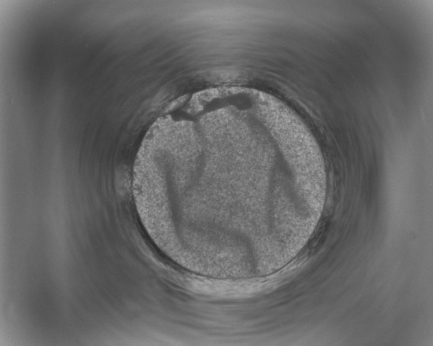 X0000053140048200508081356