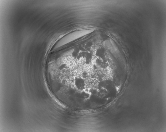 X0000053140049200508081355