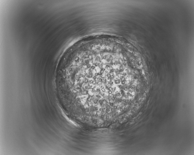 X0000053140050200508081355