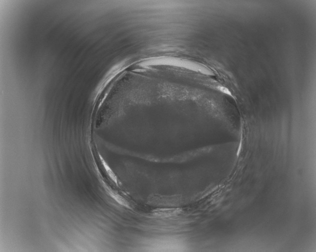 X0000053140051200508081355