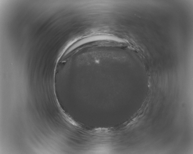 X0000053140052200508081355